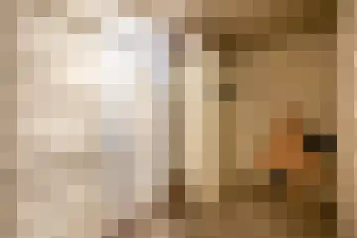 Marconilaan 32 H Eindhoven thumbnail 35