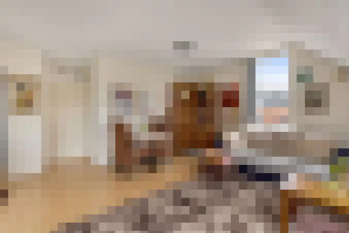 Marconilaan 32 P Eindhoven thumbnail 10