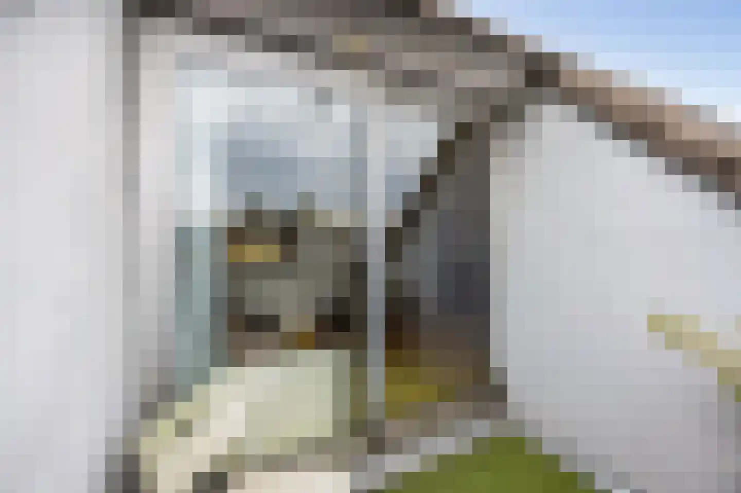 Marconilaan 32 P Eindhoven thumbnail 17