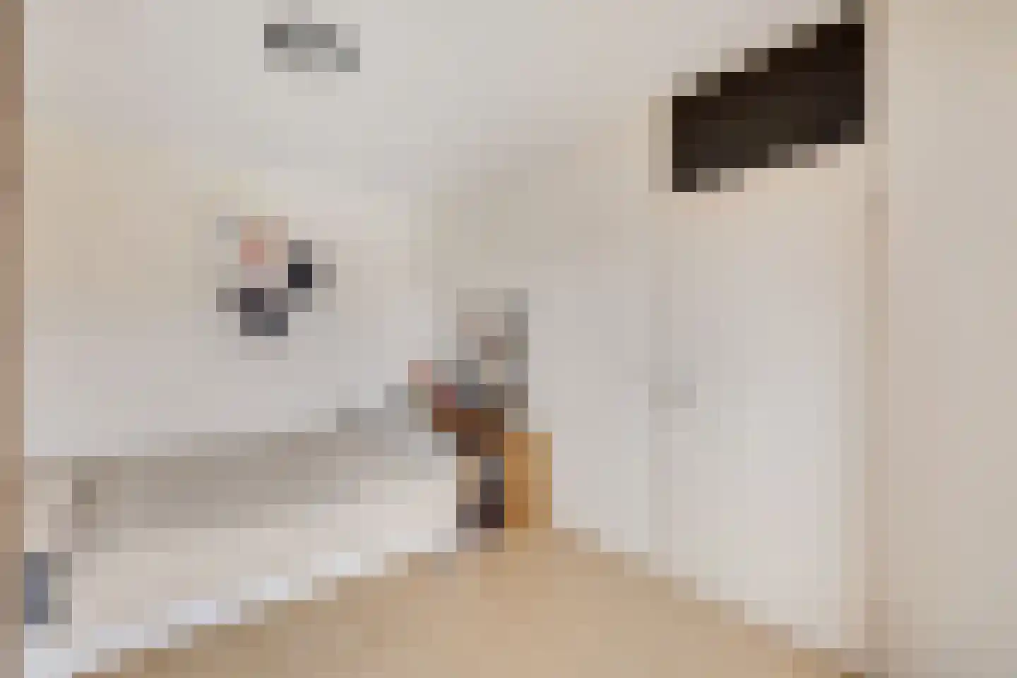 Marconilaan 32 P Eindhoven thumbnail 19