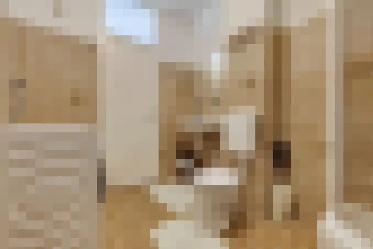 Marconilaan 32 P Eindhoven thumbnail 22