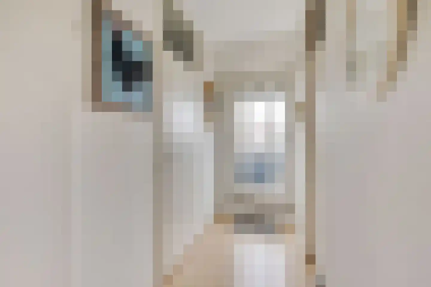 Marconilaan 32 P Eindhoven thumbnail 25