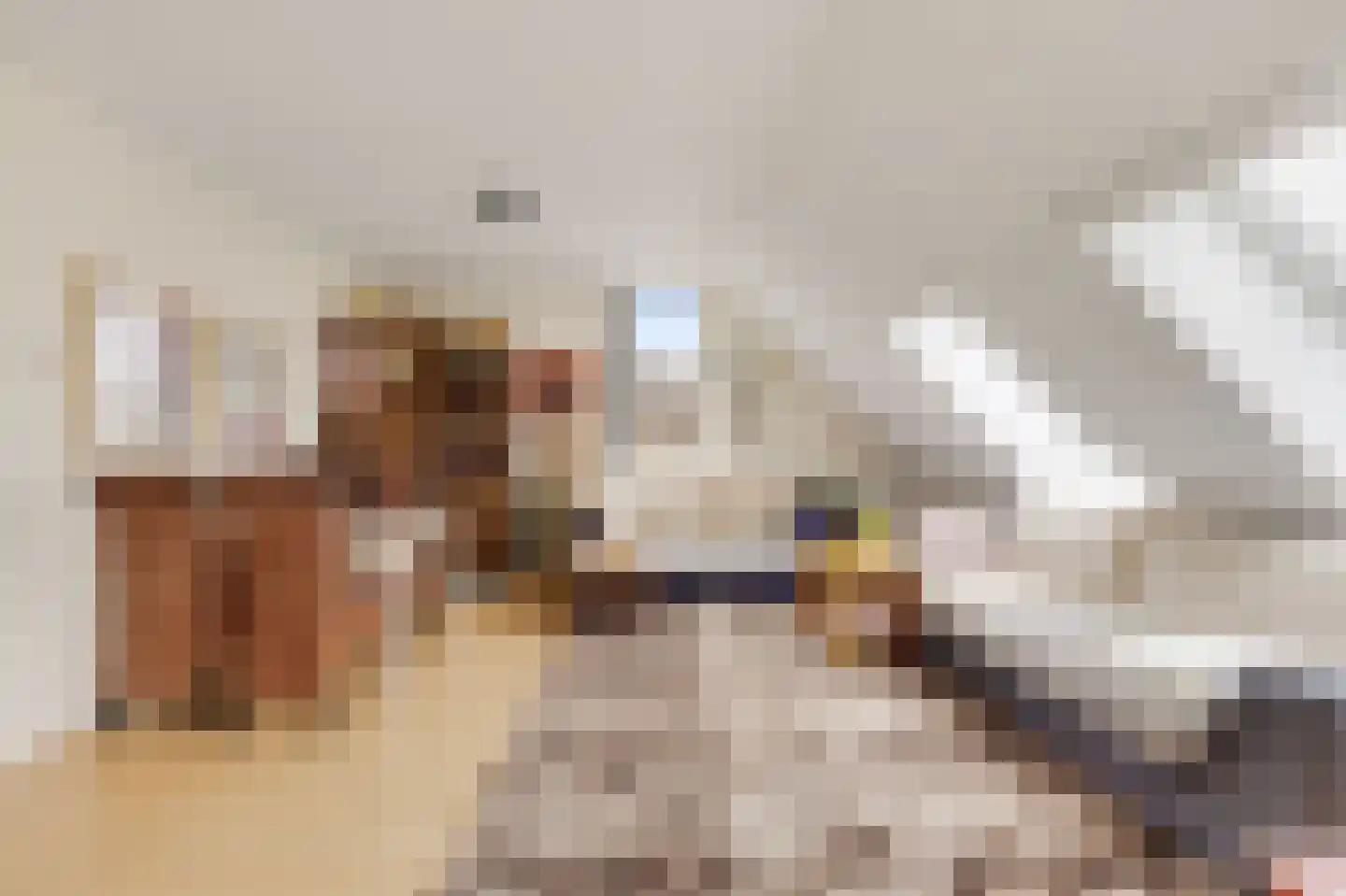 Marconilaan 32 P Eindhoven thumbnail 7