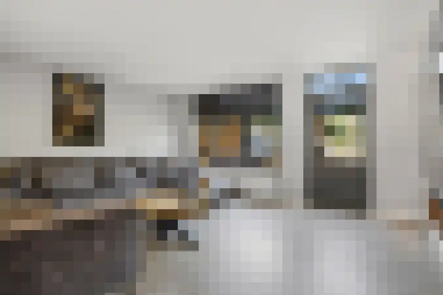Marconilaan 6 Vlijmen thumbnail 11