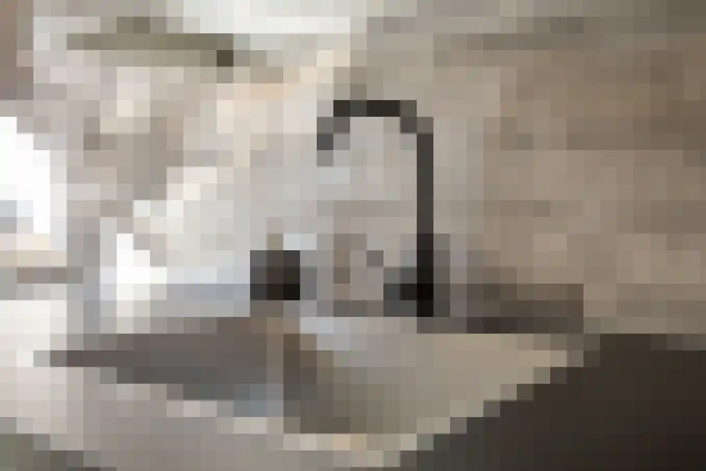 Marconilaan 6 Vlijmen thumbnail 18