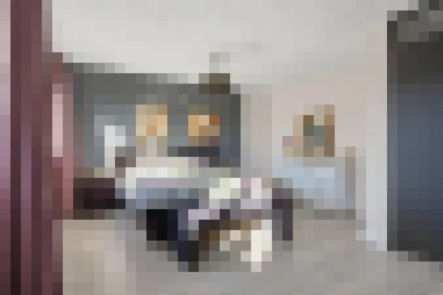 Marconilaan 6 Vlijmen thumbnail 21