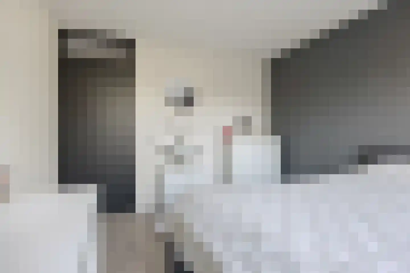 Marconilaan 6 Vlijmen thumbnail 24