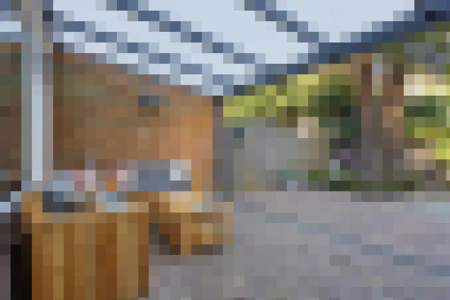 Marconilaan 6 Vlijmen thumbnail 32