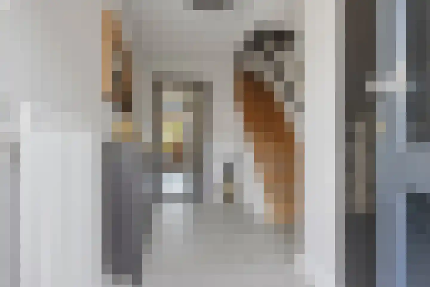 Marconilaan 6 Vlijmen thumbnail 6