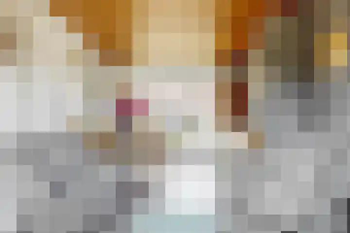 Marconilaan 8 IJsselstein thumbnail 5