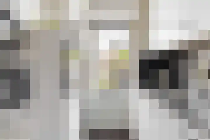 Marconilaan 8 IJsselstein thumbnail 8