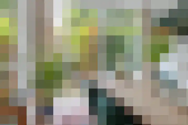 Marconistraat 103 A Schiedam thumbnail 4