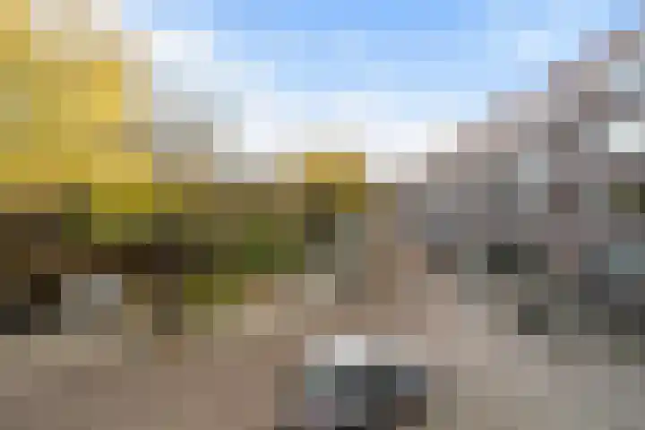 Marconistraat 103 A Schiedam thumbnail 6