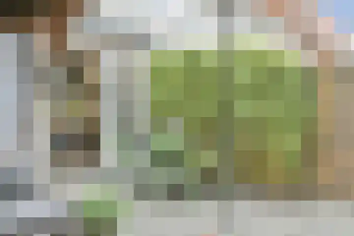 Marconistraat 11 Amersfoort thumbnail 14