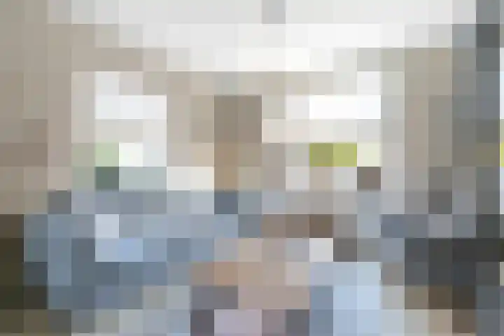 Marconistraat 11 Kruiningen thumbnail 7