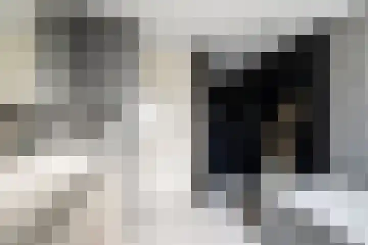 Marconistraat 12 Huizen thumbnail 14