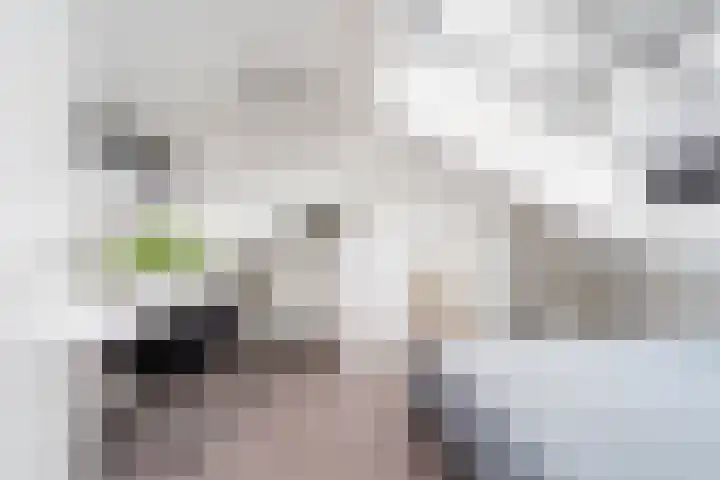 Marconistraat 12 Huizen thumbnail 21
