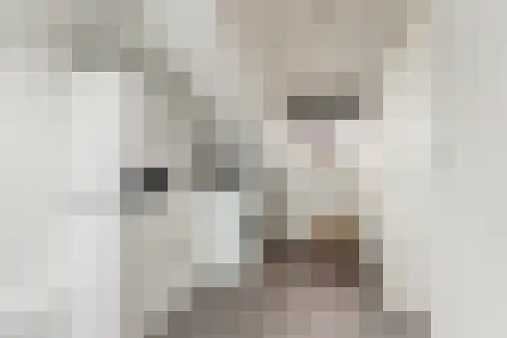 Marconistraat 12 Huizen thumbnail 22
