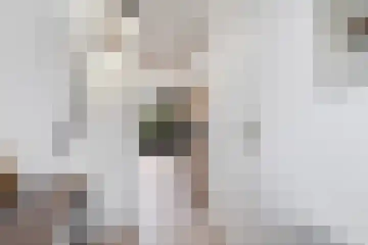 Marconistraat 12 Huizen thumbnail 25