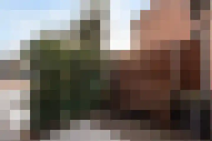 Marconistraat 12 Huizen thumbnail 29
