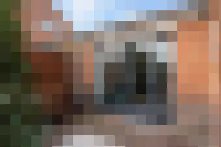 Marconistraat 12 Huizen thumbnail 30