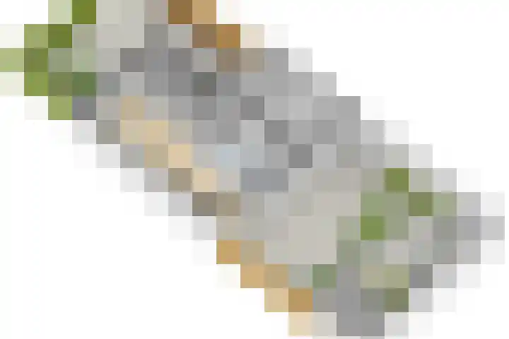 Marconistraat 12 Huizen thumbnail 47