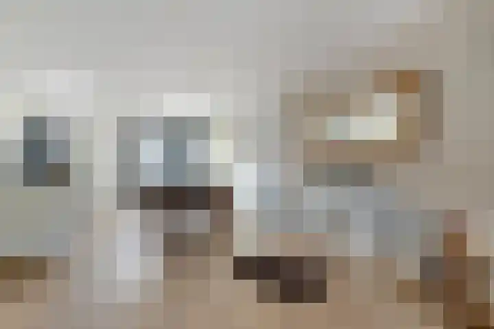 Marconistraat 12 Huizen thumbnail 6