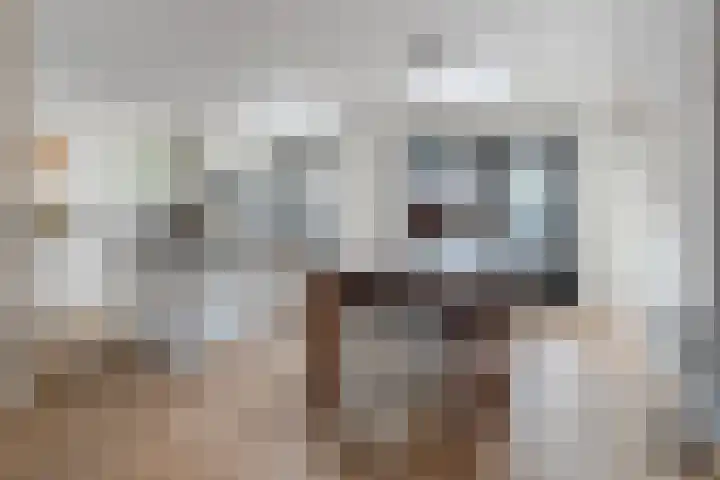 Marconistraat 12 Huizen thumbnail 7