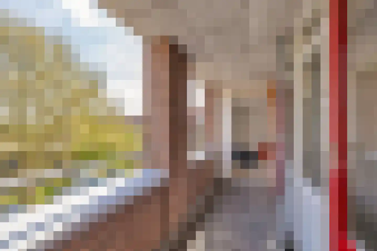 Marconistraat 123 Schiedam thumbnail 19