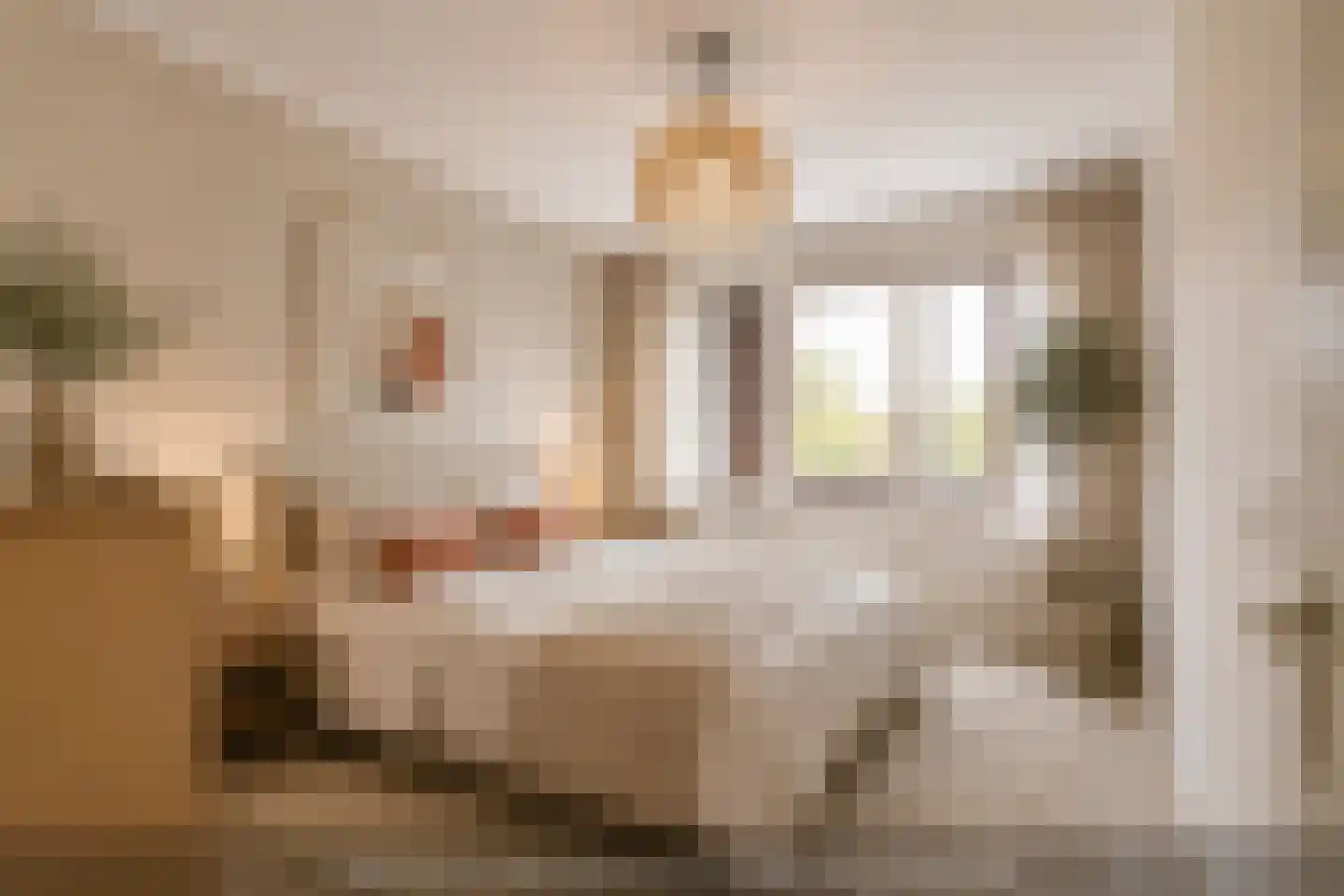 Marconistraat 123 Schiedam thumbnail 24