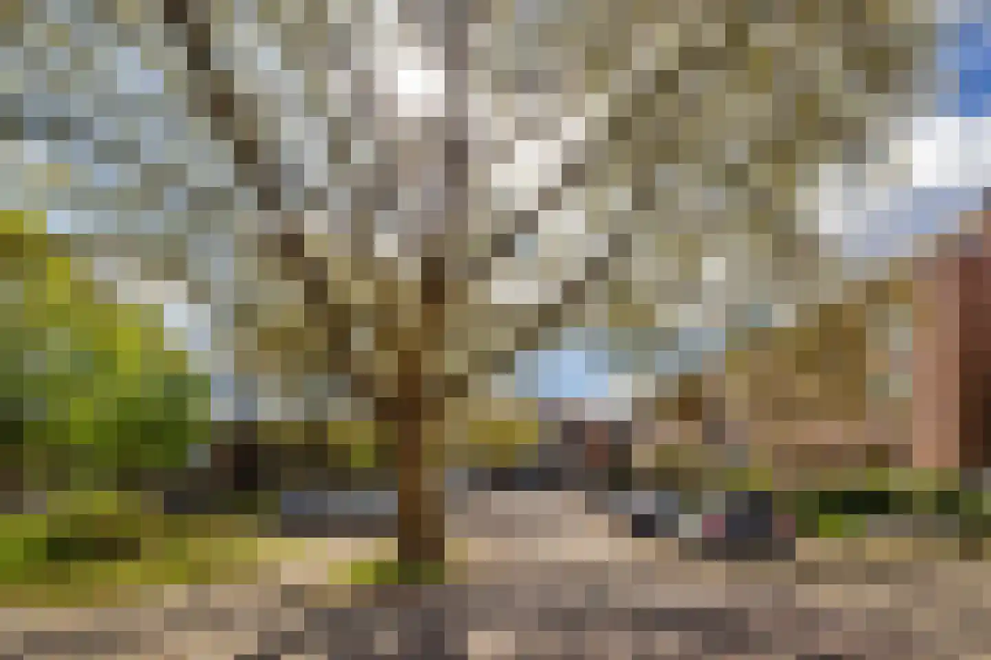 Marconistraat 123 Schiedam thumbnail 37