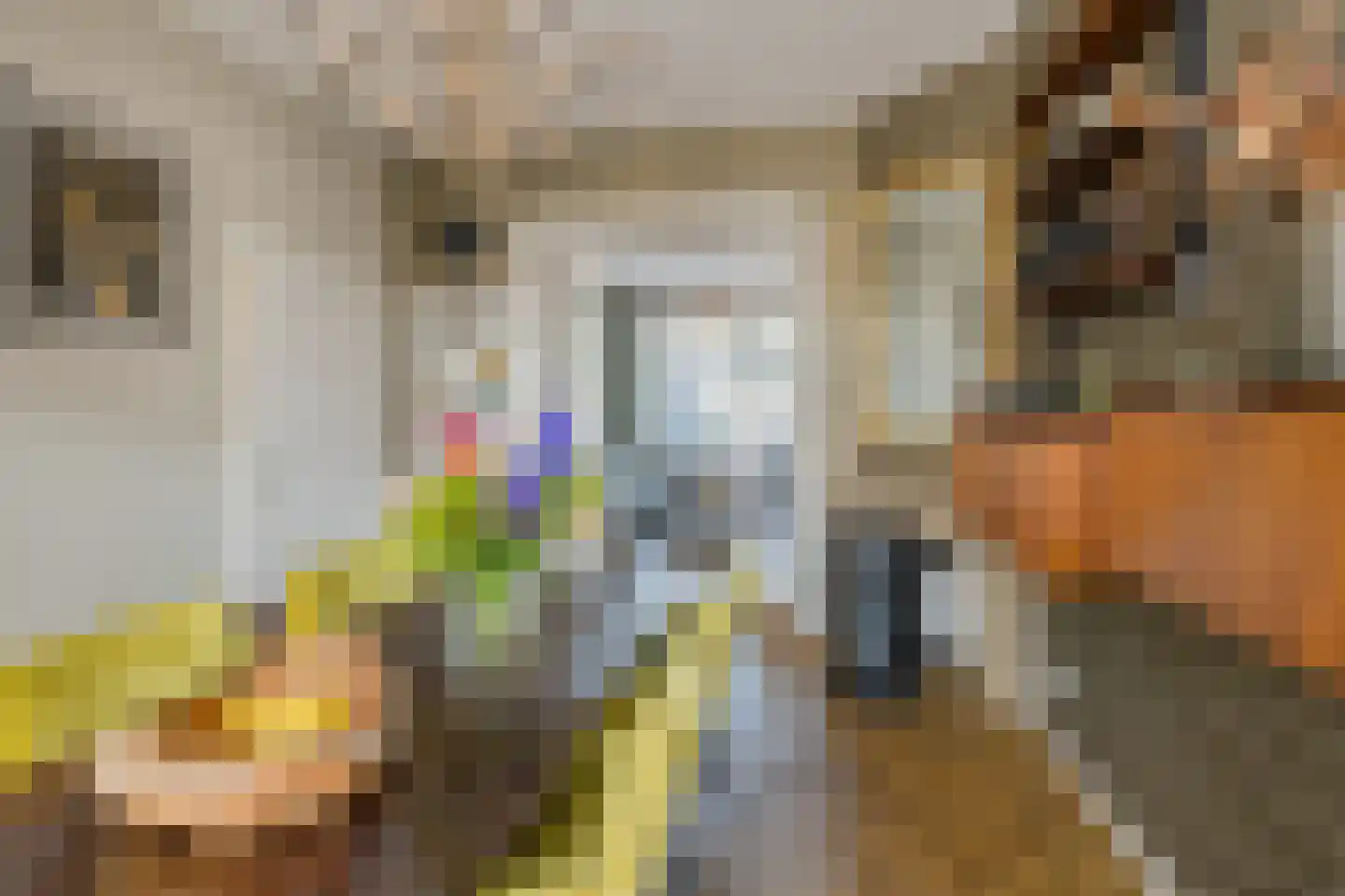 Marconistraat 14 IJmuiden thumbnail 20