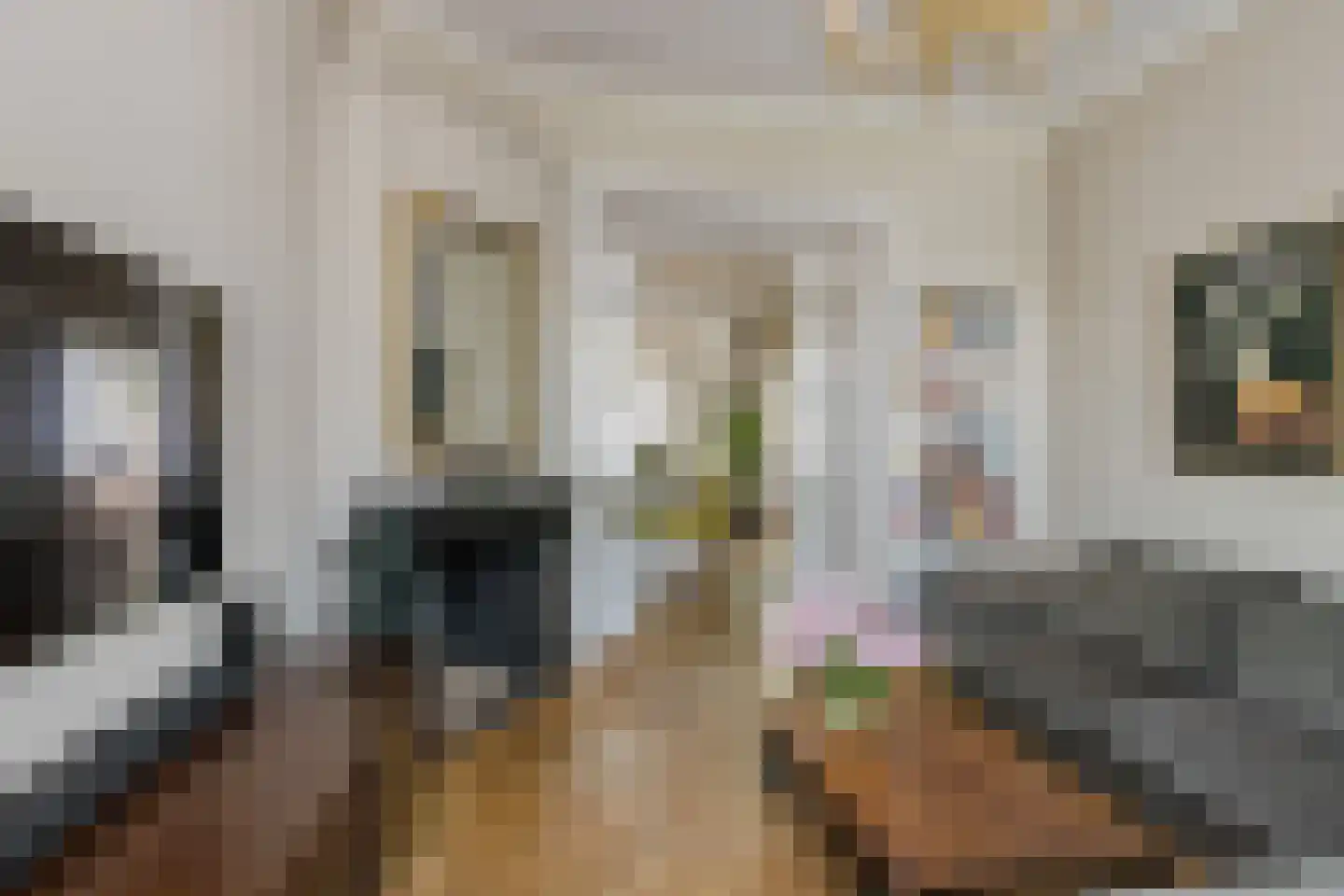 Marconistraat 14 IJmuiden thumbnail 25