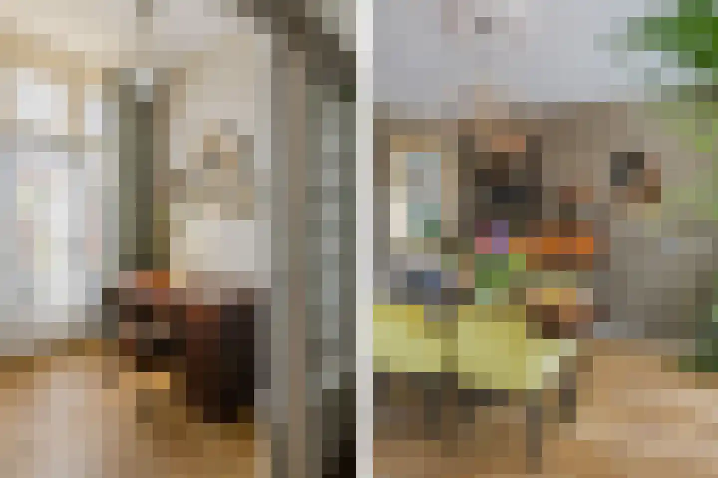 Marconistraat 14 IJmuiden thumbnail 33