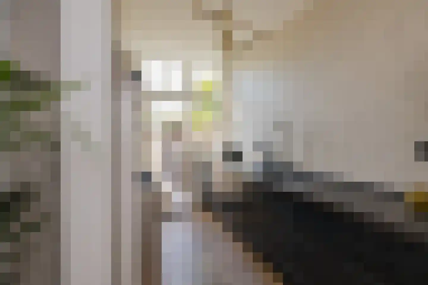 Marconistraat 14 IJmuiden thumbnail 37