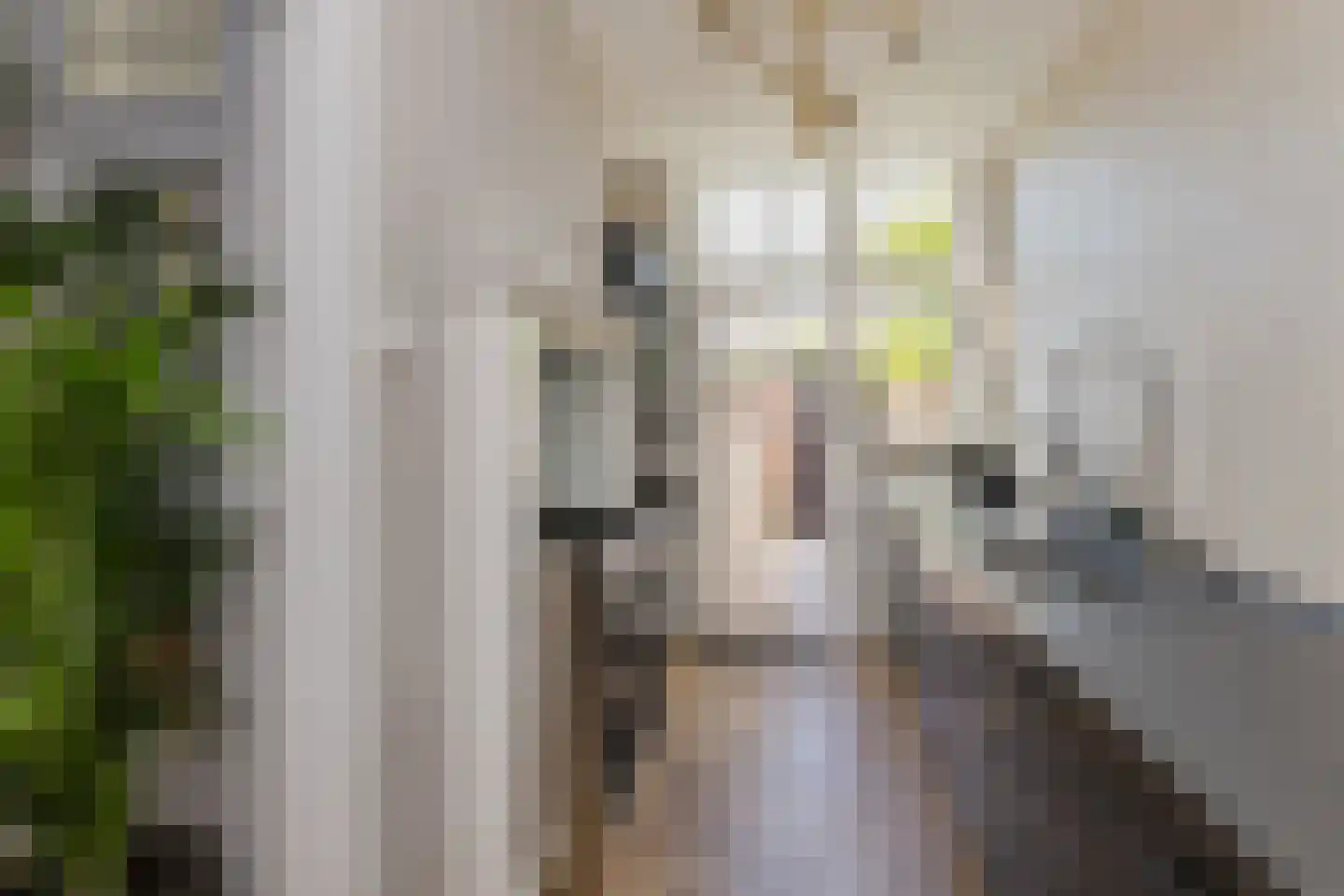 Marconistraat 14 IJmuiden thumbnail 38