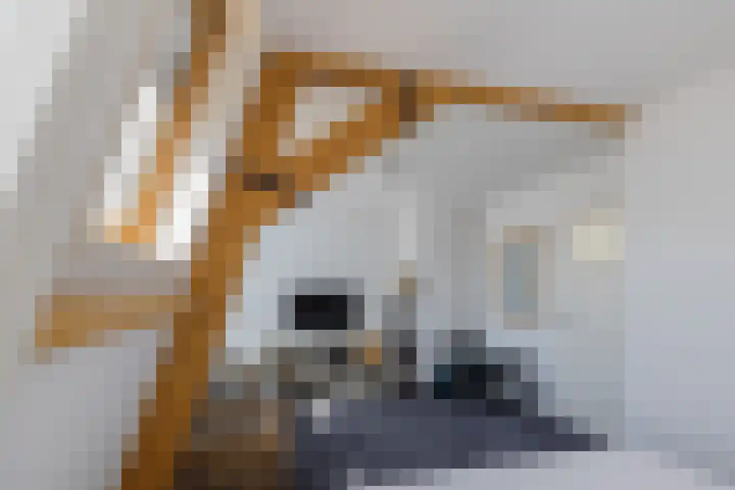Marconistraat 14 IJmuiden thumbnail 70