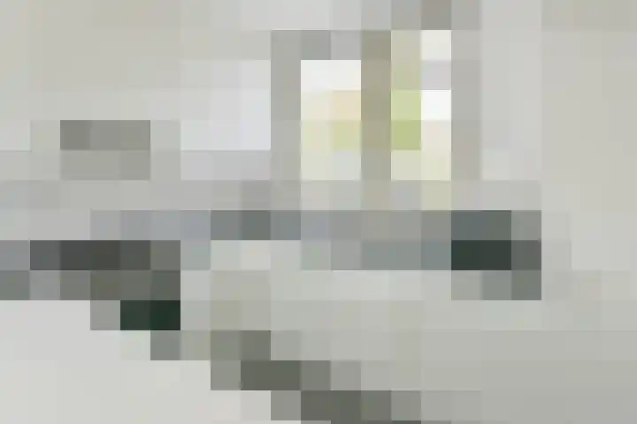 Marconistraat 15 Kudelstaart thumbnail 8