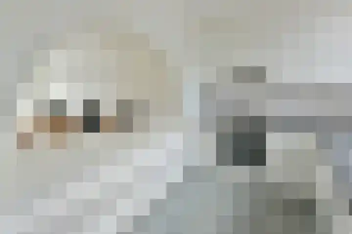 Marconistraat 15 Kudelstaart thumbnail 9