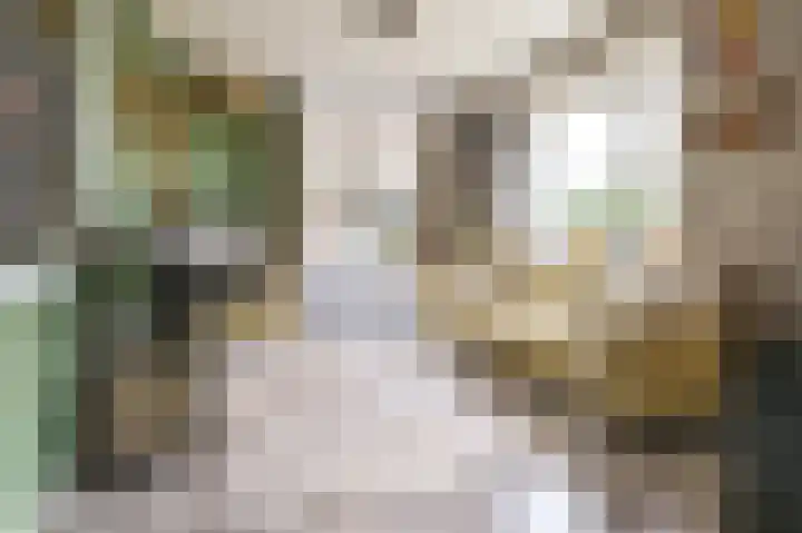 Marconistraat 2 IJmuiden thumbnail 6