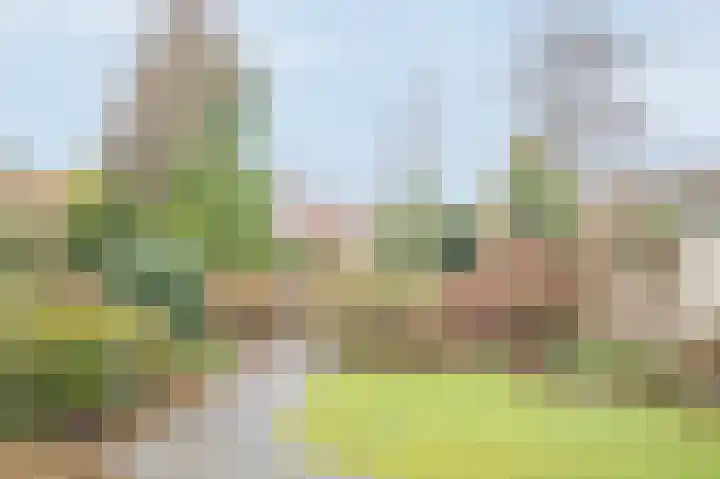 Marconistraat 21 Assen thumbnail 39