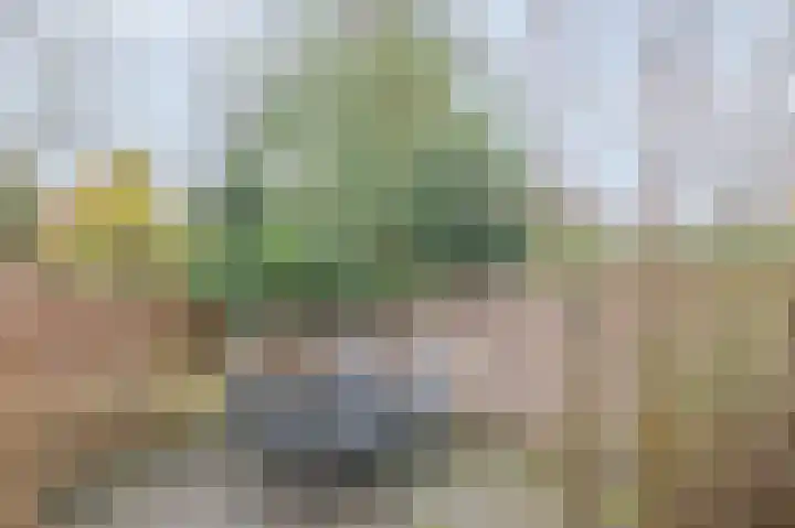 Marconistraat 21 Assen thumbnail 42