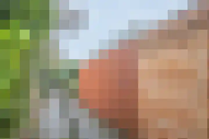 Marconistraat 21 Assen thumbnail 48