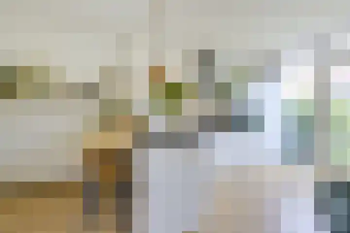 Marconistraat 22 Utrecht thumbnail 11