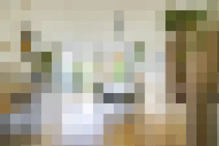 Marconistraat 22 Utrecht thumbnail 12