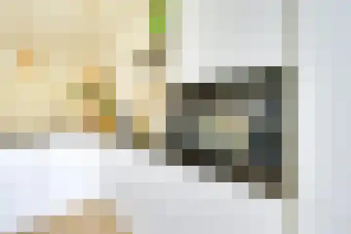 Marconistraat 22 Utrecht thumbnail 13