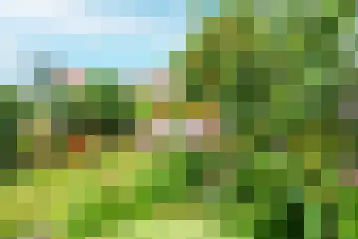 Marconistraat 22 Utrecht thumbnail 17