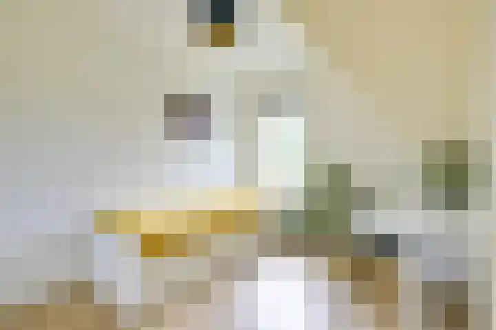 Marconistraat 22 Utrecht thumbnail 25