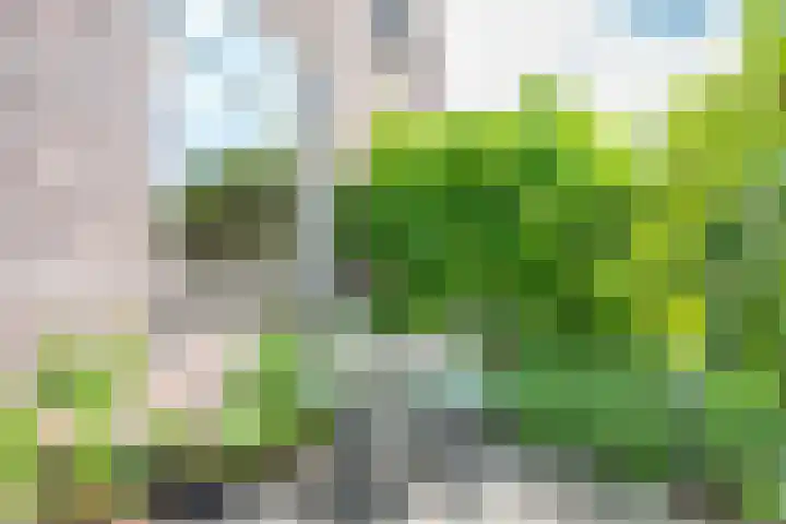 Marconistraat 22 Utrecht thumbnail 31