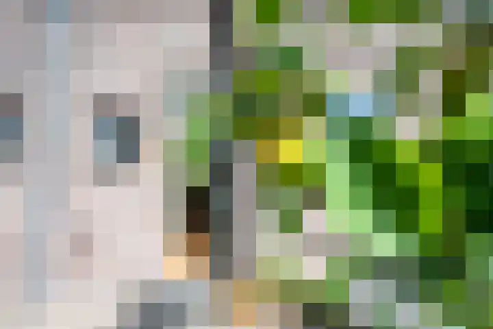 Marconistraat 22 Utrecht thumbnail 32